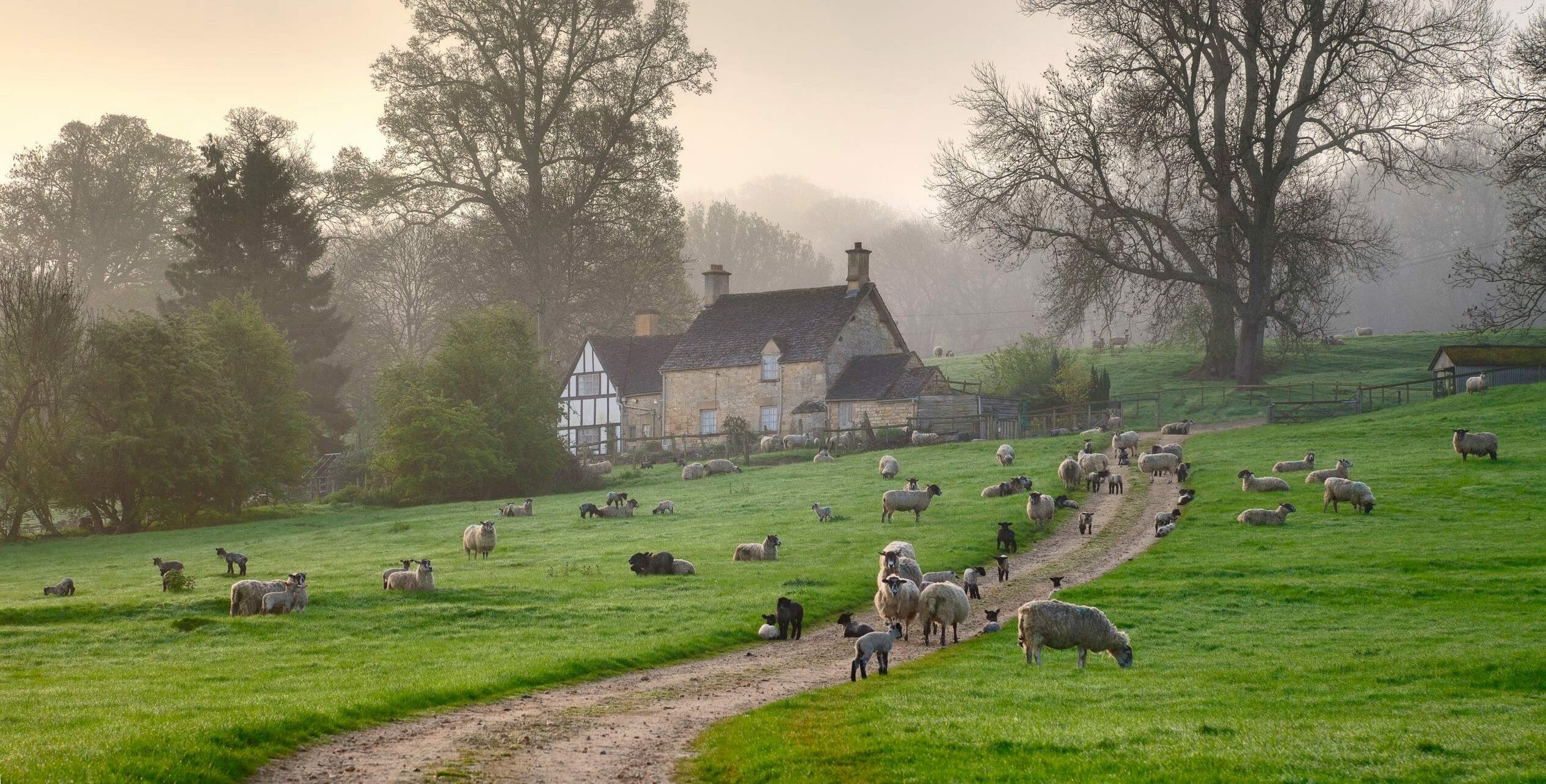 The countryside is beautiful. Котсуолдс Англия. Котсуолдс Англия ферма. Сельская местность в Англии Котсуолд. Ферма в Англии Глостершир.