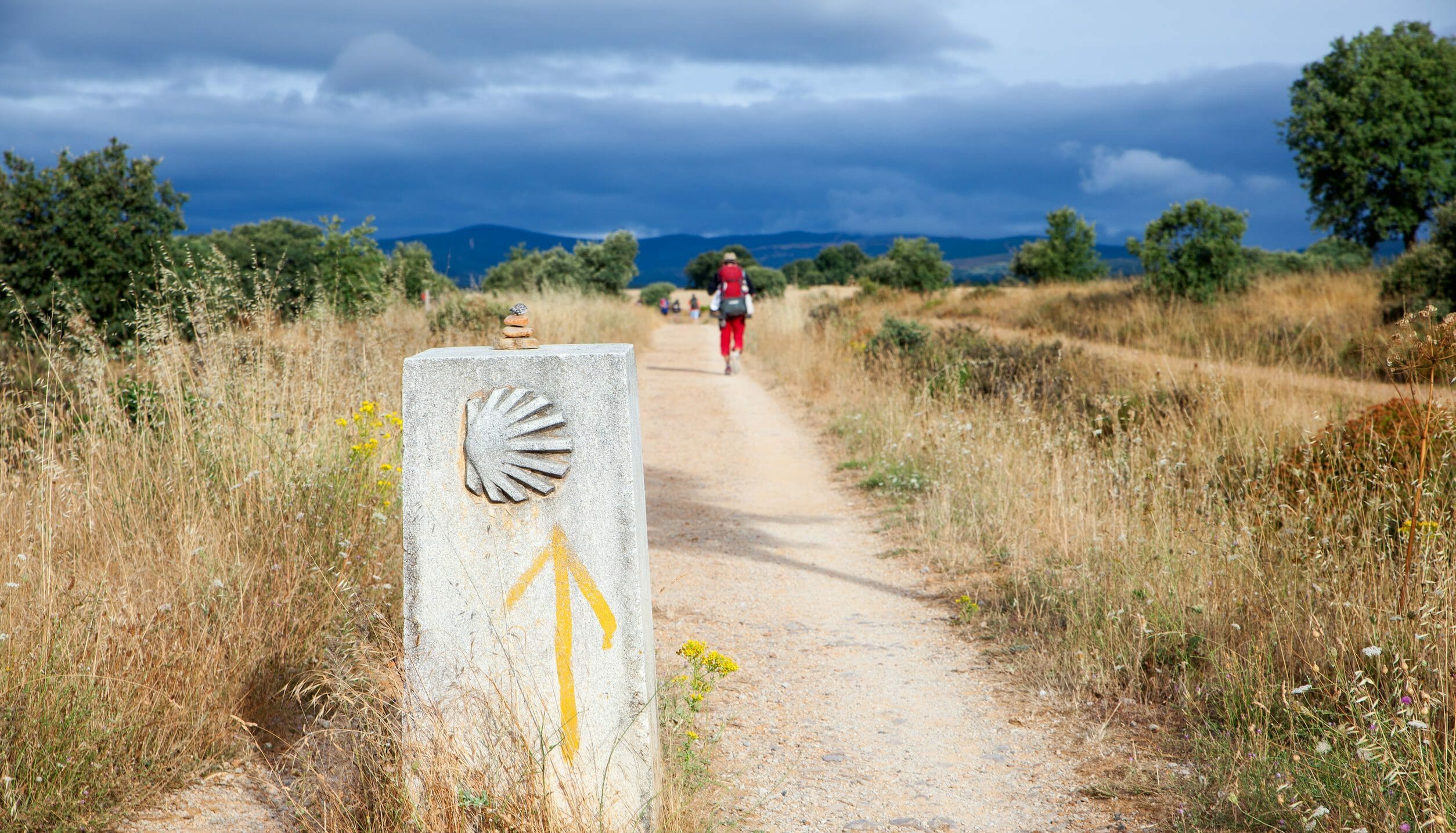 Chemin de Saint Jacques de Compostelle Camino de Santiago Camino
