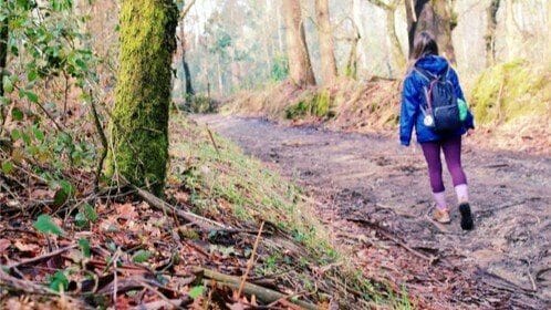Camino Frances