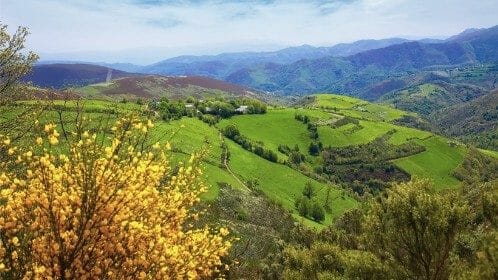 Camino Frances