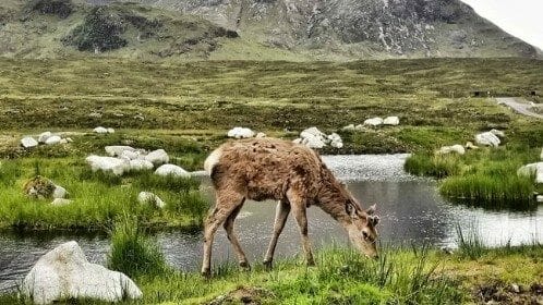 West Highland Way