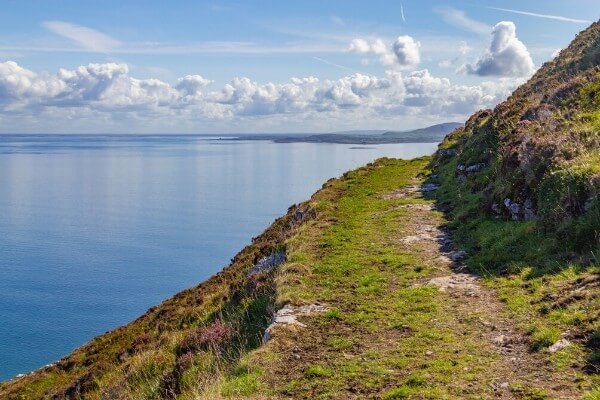 Black Head Loop Walking Guide from Hillwalk Tours