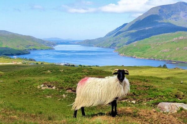 Les 10 plus beaux paysages d'Irlande - Hillwalk Tours Randonnées en Liberté