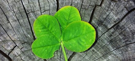 15 proverbes irlandais et leur signification