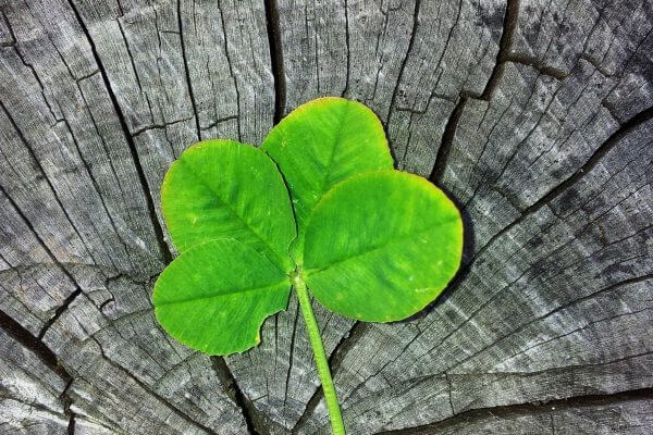 15 proverbes irlandais et leur signification