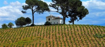 9 conseils aux randonneurs