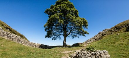 Top 10 des attractions le long du Mur d’Hadrien