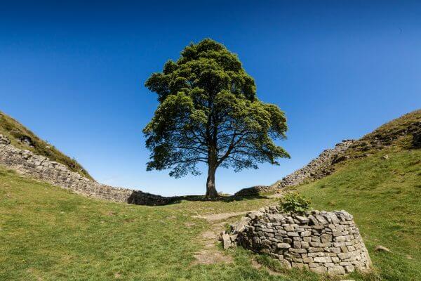 Top 10 des attractions le long du Mur d’Hadrien