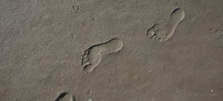 Tourisme responsable 7 principes de Leave No Trace