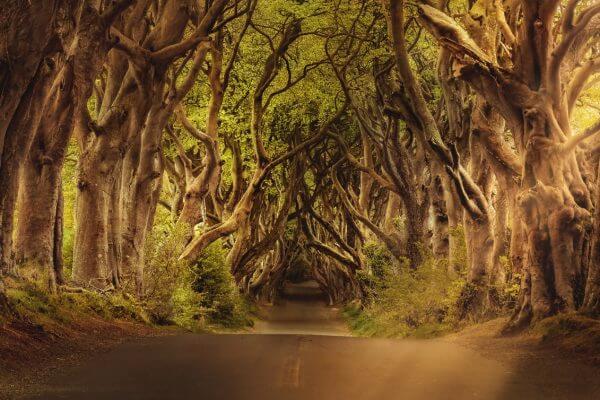 4 films et séries tournés en Irlande