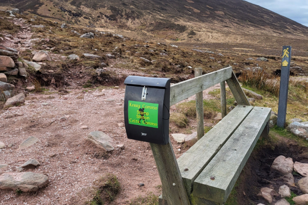 Kerry Camino