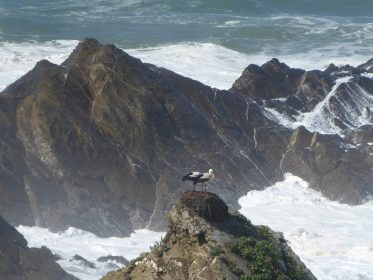Rota Vicentina (Sentier des Pêcheurs)