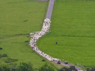 St Cuthbert’s Way
