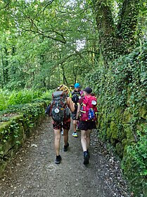 Camino Portugues (Chemin Central)