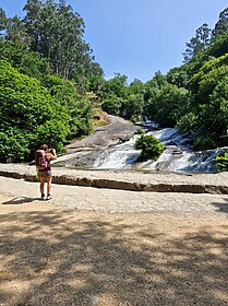 Camino Portugues (Chemin Central)