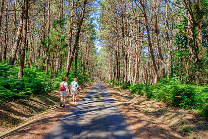Camino Finisterre
