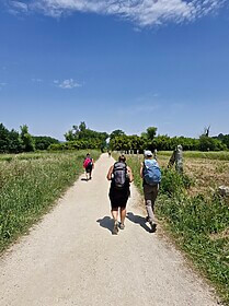 Camino Portugues (Chemin Central)