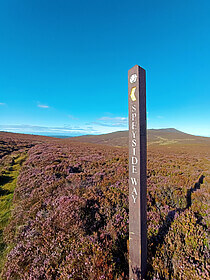 Speyside Way (La Route du Whisky)