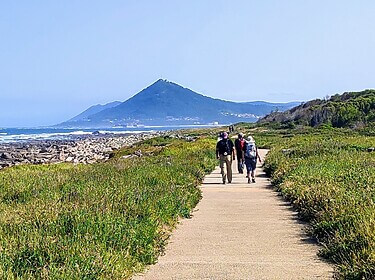 Camino Portugues (Chemin par la côte)
