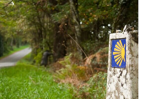 camino waymarker by side of road 6