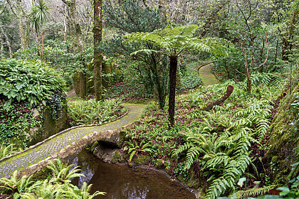 Lisbonne et le parc naturel de Sintra-Cascais