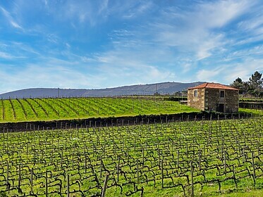 Porto & la vallée du Douro (Itinéraires Emblématiques)
