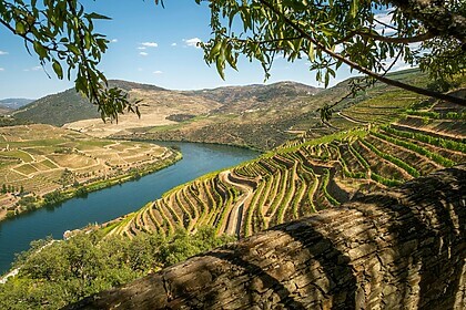 Porto & la vallée du Douro (Itinéraires Emblématiques)