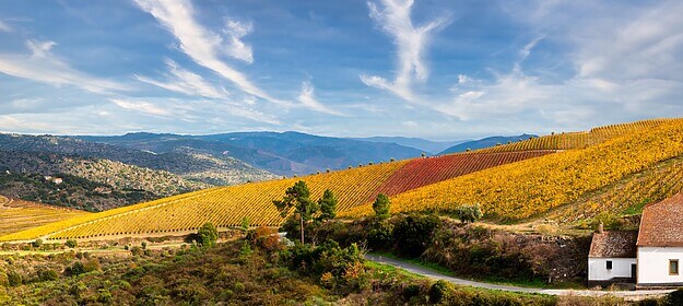 Porto & la vallée du Douro (Itinéraires Emblématiques)