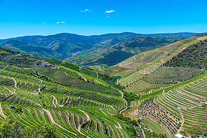 Porto & la vallée du Douro (Itinéraires Emblématiques)