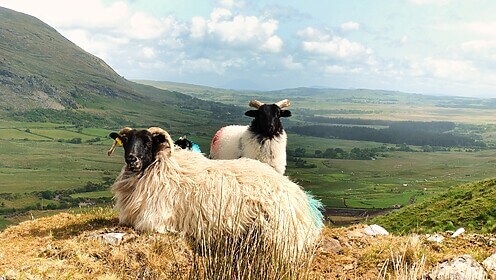 Connemara et l’Ouest Irlandais