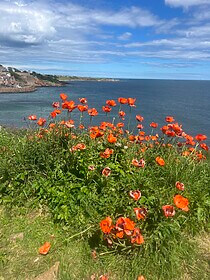 Fife Coastal Path