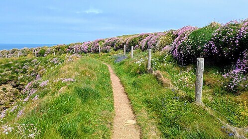 Pembrokeshire Coast Path