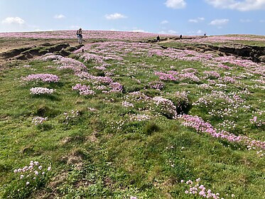South West Coast Path (Cornouailles)