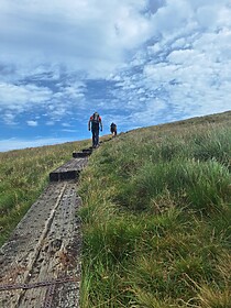 Wicklow Way et les Sentiers de Glendalough