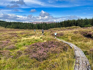 Wicklow Way et les Sentiers de Glendalough