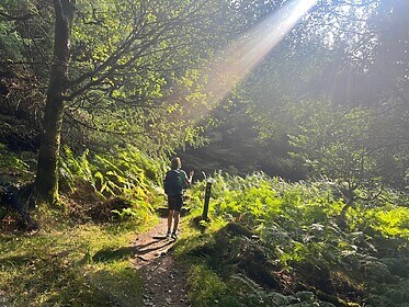 Wicklow Way et les Sentiers de Glendalough