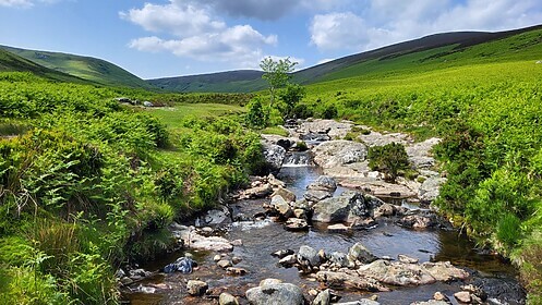 Wicklow Way et les Sentiers de Glendalough