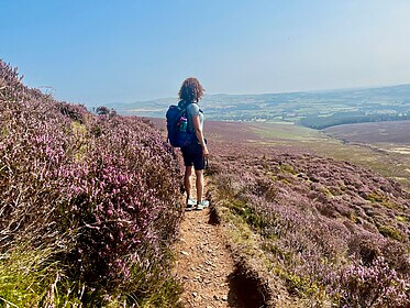 Wicklow Way et les Sentiers de Glendalough