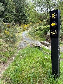 Wicklow Way et les Sentiers de Glendalough