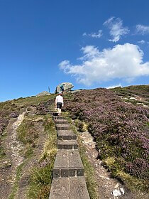 Wicklow Way et les Sentiers de Glendalough