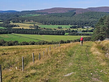 Speyside Way (La Route du Whisky)