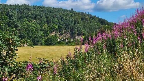 Speyside Way (La Route du Whisky)