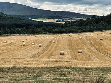 Speyside Way (La Route du Whisky)