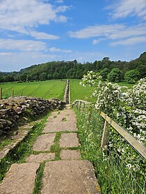 Sentier du Mur d’Hadrien (D’Est en Ouest)